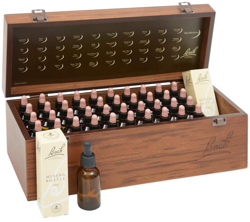 Bachblüten Kiel Naturheilpraxis